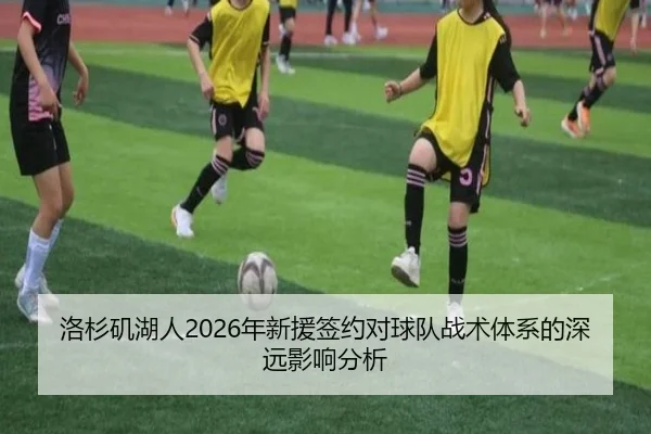 洛杉矶湖人2026年新援签约对球队战术体系的深远影响分析